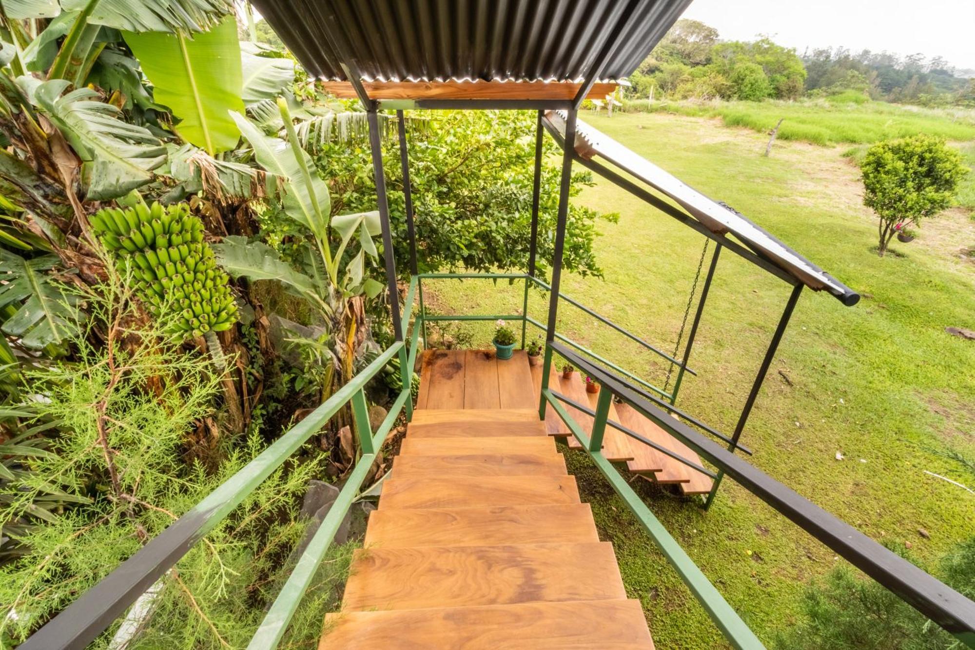 Monteverde Ecolove المظهر الخارجي الصورة