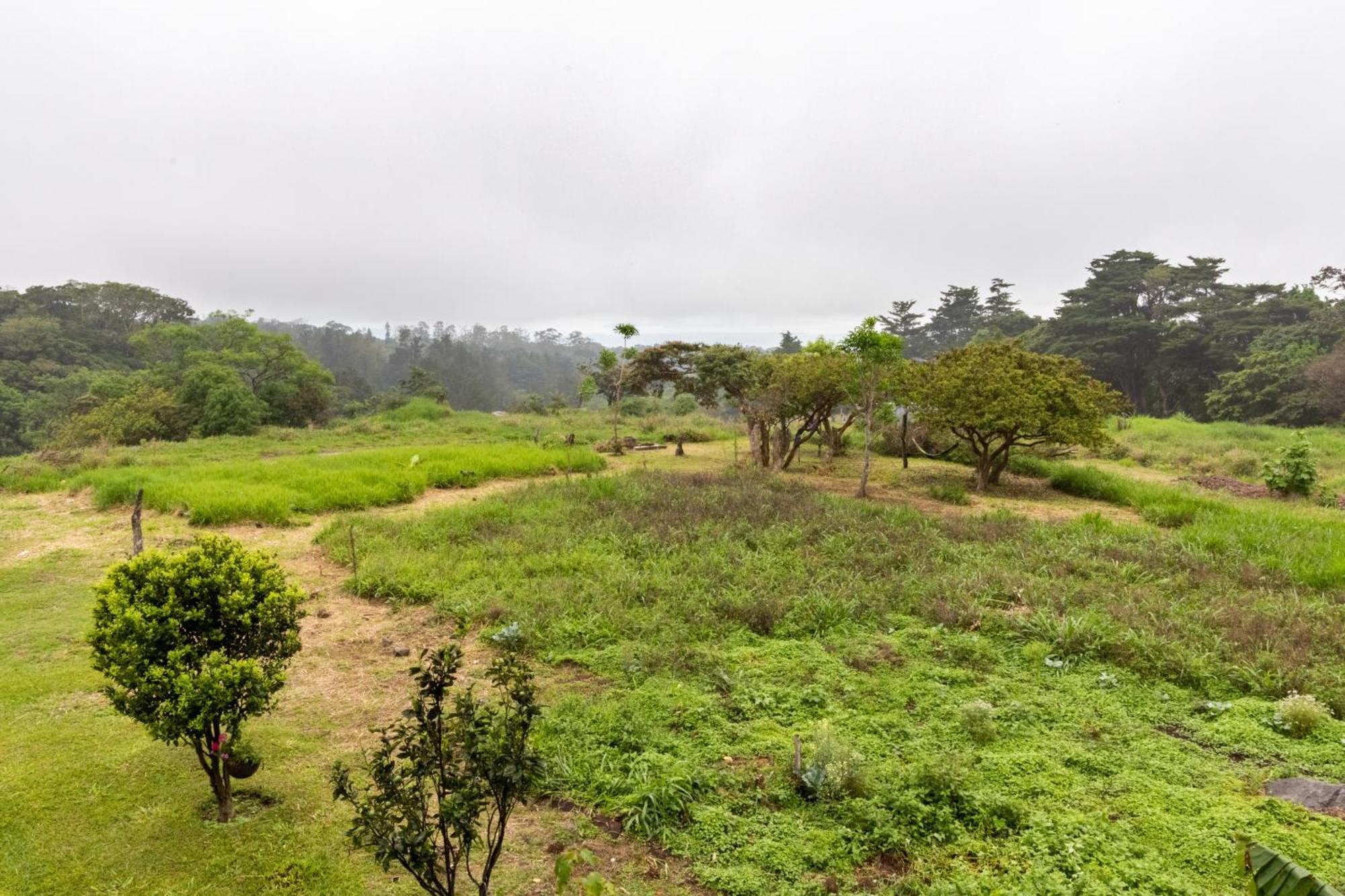 Monteverde Ecolove المظهر الخارجي الصورة